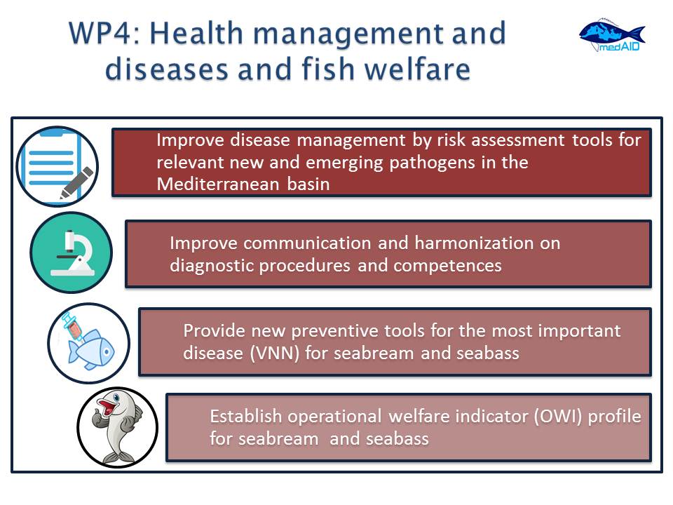 MedAID_WP4_slide
