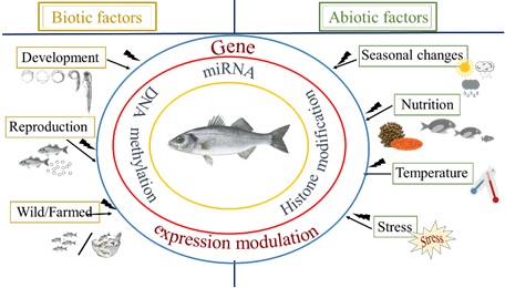 epigenetics1